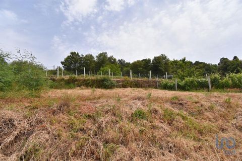 Helårsgrund i Miranda do Corvo, Coimbra, Miranda do Corvo - € 9.000 | Ref: 121041 - foto 11