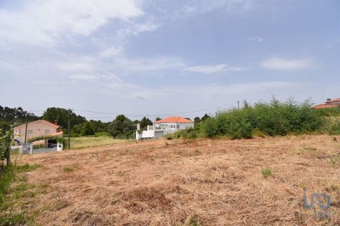 Helårsgrund i Miranda do Corvo, Coimbra, Miranda do Corvo - € 9.000 | Ref: 121041 - foto 13