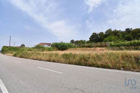 Helårsgrund i Miranda do Corvo, Coimbra, Miranda do Corvo - € 9.000 | Ref: 121041 - foto 14