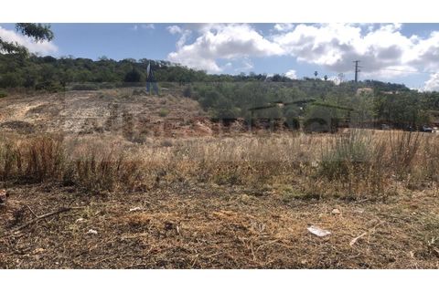 Helårsgrund i Tunes, Faro, Tunes - € 720.000 | Ref: LT-6176 - foto 6