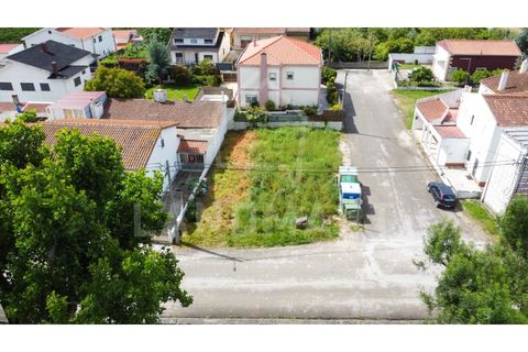 Helårsgrund i Alcobaca, Leiria, Alcobaca - € 39.000 | Ref: TE1436 - foto 2