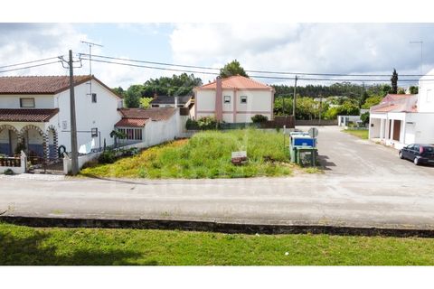 Helårsgrund i Alcobaca, Leiria, Alcobaca - € 39.000 | Ref: TE1436 - foto 4