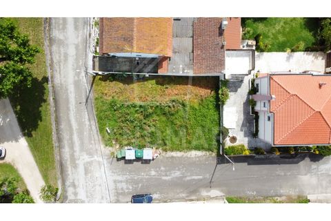 Helårsgrund i Alcobaca, Leiria, Alcobaca - € 39.000 | Ref: TE1436 - foto 5