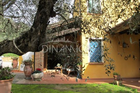 Landejendom i Palaia, Pisa, Palaia - € 750.000 | Ref: 1003-233C - foto 5