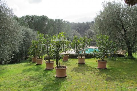Landejendom i Palaia, Pisa, Palaia - € 750.000 | Ref: 1003-233C - foto 6
