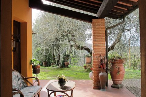 Landejendom i Palaia, Pisa, Palaia - € 750.000 | Ref: 1003-233C - foto 20