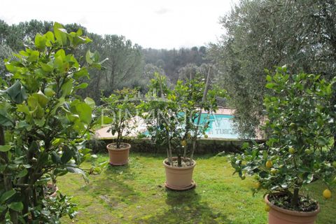 Landejendom i Palaia, Pisa, Palaia - € 750.000 | Ref: 1003-233C - foto 31
