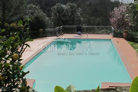 Landejendom i Palaia, Pisa, Palaia - € 750.000 | Ref: 1003-233C - foto 32