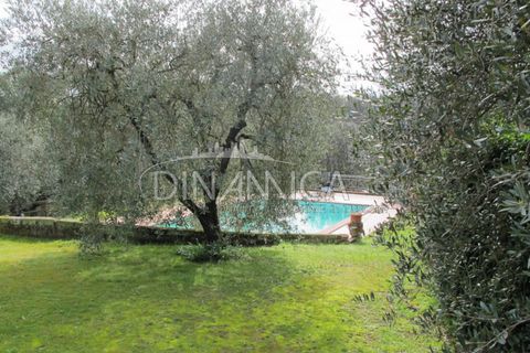 Landejendom i Palaia, Pisa, Palaia - € 750.000 | Ref: 1003-233C - foto 33