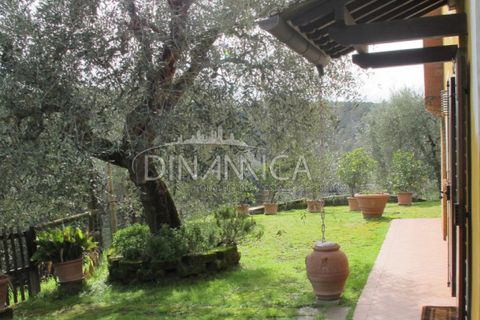 Landejendom i Palaia, Pisa, Palaia - € 750.000 | Ref: 1003-233C - foto 38