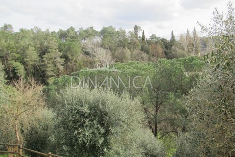 Landejendom i Palaia, Pisa, Palaia - € 750.000 | Ref: 1003-233C - foto 40