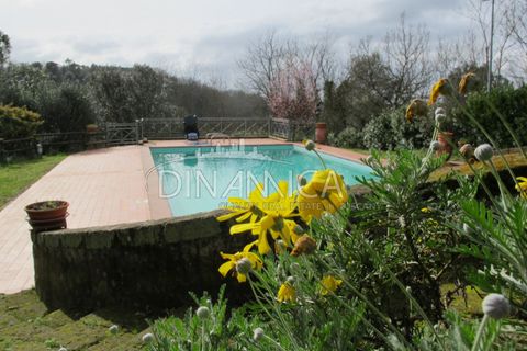 Landejendom i Palaia, Pisa, Palaia - € 750.000 | Ref: 1003-233C - foto 44
