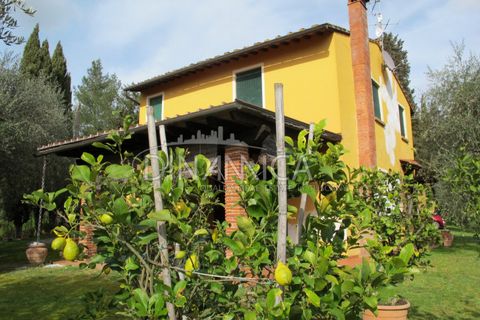 Landejendom i Palaia, Pisa, Palaia - € 750.000 | Ref: 1003-233C - foto 45
