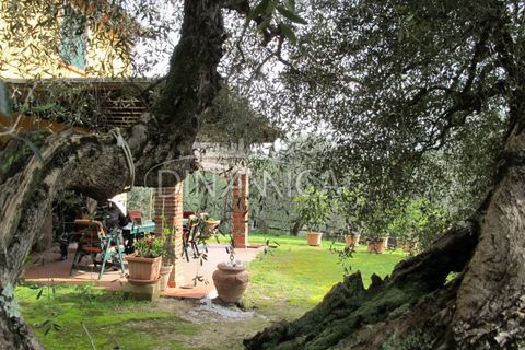 Landejendom i Palaia, Pisa, Palaia - € 750.000 | Ref: 1003-233C - foto 46