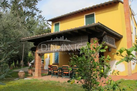 Landejendom i Palaia, Pisa, Palaia - € 750.000 | Ref: 1003-233C - foto 49