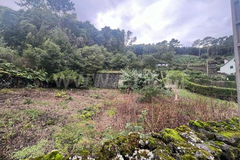 Helårsgrund i Sao Roque do Pico, Pico, Sao Roque do Pico - € 49.500 | Ref: 374230300 - foto 2