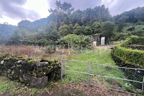 Helårsgrund i Sao Roque do Pico, Pico, Sao Roque do Pico - € 49.500 | Ref: 374230300 - foto 3