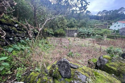 Helårsgrund i Sao Roque do Pico, Pico, Sao Roque do Pico - € 49.500 | Ref: 374230300 - foto 4