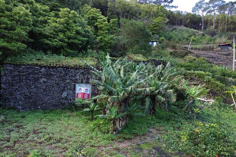 Helårsgrund i Sao Roque do Pico, Pico, Sao Roque do Pico - € 49.500 | Ref: 374230300 - foto 5