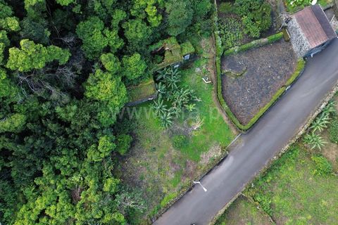Helårsgrund i Sao Roque do Pico, Pico, Sao Roque do Pico - € 49.500 | Ref: 374230300 - foto 6