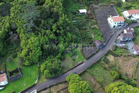Helårsgrund i Sao Roque do Pico, Pico, Sao Roque do Pico - € 49.500 | Ref: 374230300 - foto 7