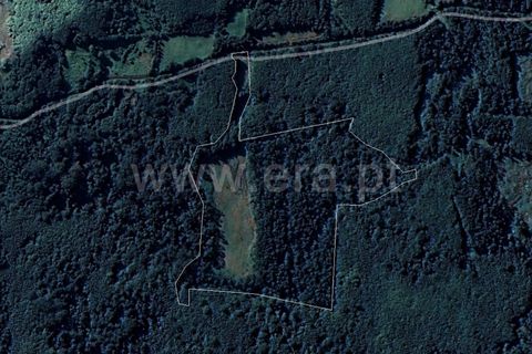 Helårsgrund i Sao Roque do Pico, Pico, Sao Roque do Pico - € 180.000 | Ref: 374230167 - foto 1
