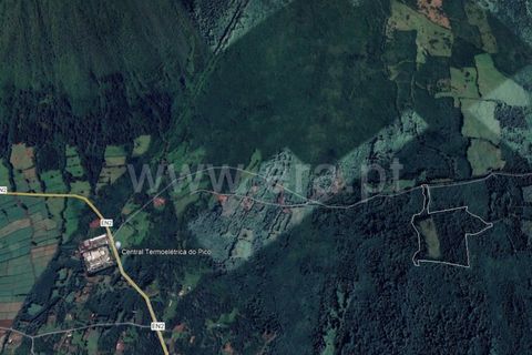 Helårsgrund i Sao Roque do Pico, Pico, Sao Roque do Pico - € 180.000 | Ref: 374230167 - foto 2