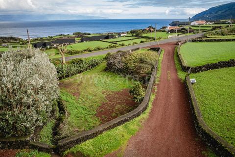 Helårsgrund i Sao Roque do Pico, Pico, Sao Roque do Pico - € 39.000 | Ref: 374230227 - foto 4