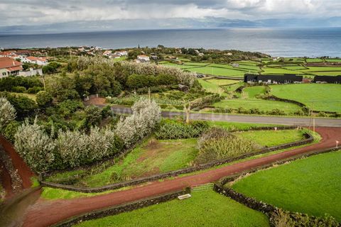 Helårsgrund i Sao Roque do Pico, Pico, Sao Roque do Pico - € 39.000 | Ref: 374230227 - foto 5