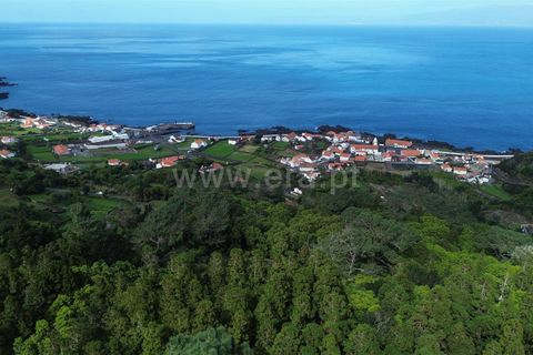 Helårsgrund i Sao Roque do Pico, Pico, Sao Roque do Pico - € 55.000 | Ref: 374230247 - foto 1