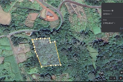 Helårsgrund i Sao Roque do Pico, Pico, Sao Roque do Pico - € 55.000 | Ref: 374230247 - foto 2
