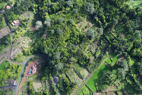 Helårsgrund i Sao Roque do Pico, Pico, Sao Roque do Pico - € 55.000 | Ref: 374230247 - foto 4