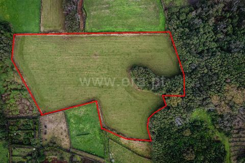 Helårsgrund i Sao Roque do Pico, Pico, Sao Roque do Pico - € 79.000 | Ref: 374230278 - foto 2