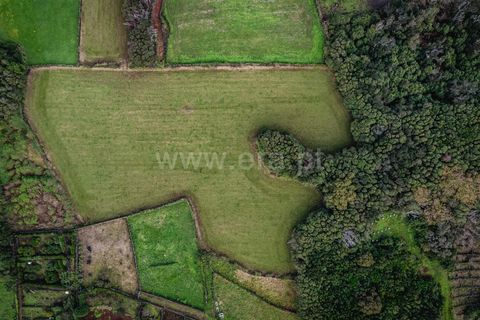 Helårsgrund i Sao Roque do Pico, Pico, Sao Roque do Pico - € 79.000 | Ref: 374230278 - foto 3