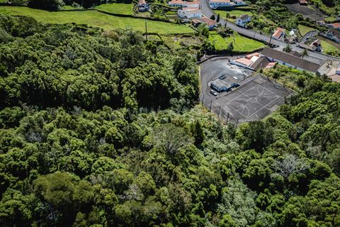 Helårsgrund i Lajes do Pico, Pico, Lajes do Pico - € 79.000 | Ref: 374230279 - foto 2