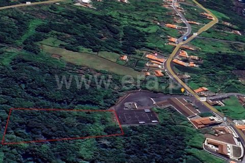 Helårsgrund i Lajes do Pico, Pico, Lajes do Pico - € 79.000 | Ref: 374230279 - foto 4