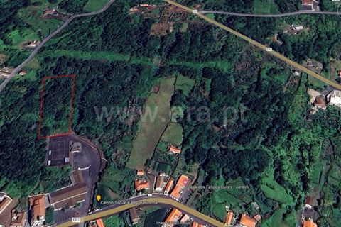 Helårsgrund i Lajes do Pico, Pico, Lajes do Pico - € 79.000 | Ref: 374230279 - foto 5