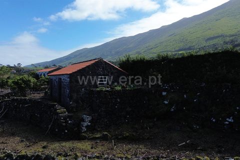 Helårsgrund i Sao Roque do Pico, Pico, Sao Roque do Pico - € 130.000 | Ref: 374240042 - foto 3