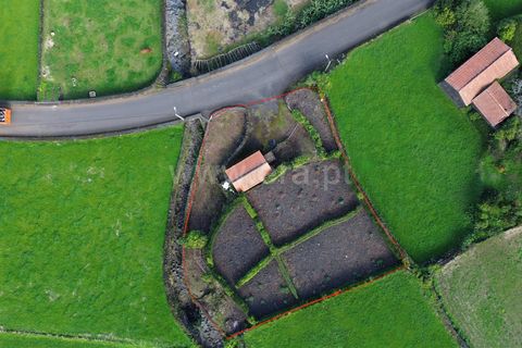 Helårsgrund i Sao Roque do Pico, Pico, Sao Roque do Pico - € 130.000 | Ref: 374240042 - foto 5