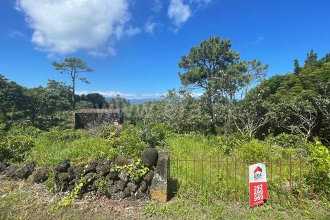 Helårsgrund i Lajes do Pico, Pico, Lajes do Pico - € 85.000 | Ref: 374240017 - foto 5