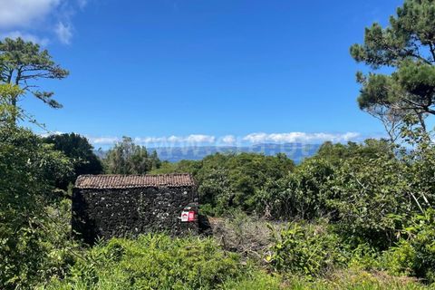 Helårsgrund i Lajes do Pico, Pico, Lajes do Pico - € 85.000 | Ref: 374240017 - foto 6