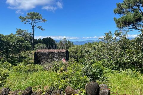 Helårsgrund i Lajes do Pico, Pico, Lajes do Pico - € 85.000 | Ref: 374240017 - foto 7