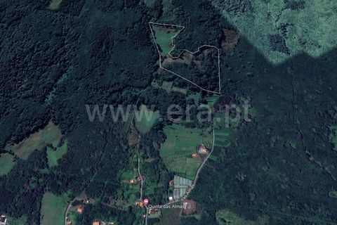 Helårsgrund i Sao Roque do Pico, Pico, Sao Roque do Pico - € 130.000 | Ref: 374230169 - foto 2