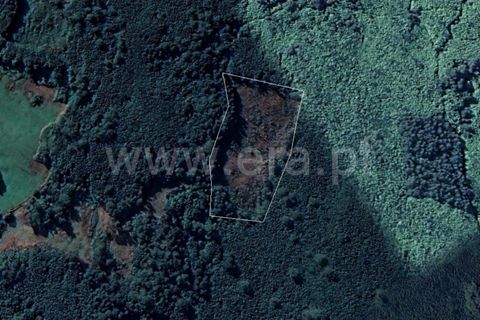 Helårsgrund i Sao Roque do Pico, Pico, Sao Roque do Pico - € 60.000 | Ref: 374230168 - foto 1