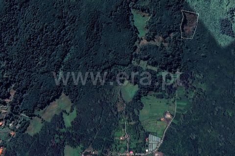 Helårsgrund i Sao Roque do Pico, Pico, Sao Roque do Pico - € 60.000 | Ref: 374230168 - foto 2