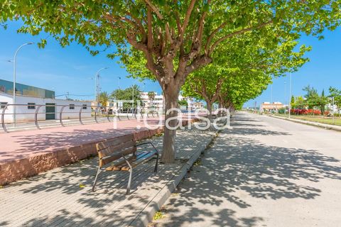 Erhvervsejendom i Dolores, Alicante, Dolores - € 230.000 | Ref: 1841 - foto 5