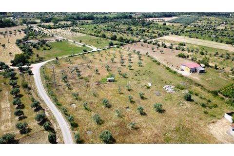 Helårsgrund i Penela, Coimbra, Penela - € 55.000 | Ref: ko2559 - foto 2