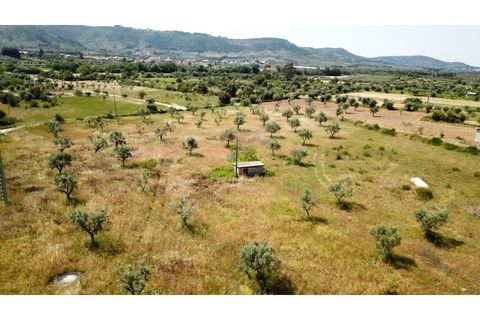 Helårsgrund i Penela, Coimbra, Penela - € 55.000 | Ref: ko2559 - foto 3