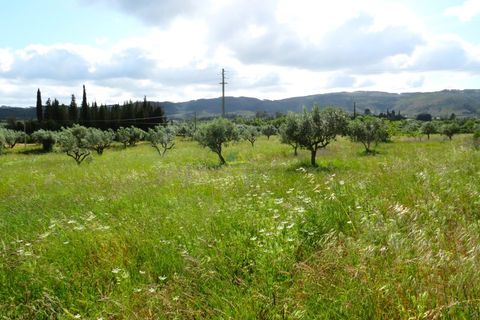 Helårsgrund i Penela, Coimbra, Penela - € 55.000 | Ref: ko2559 - foto 4