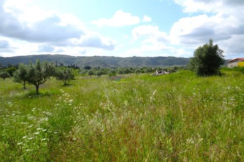 Helårsgrund i Penela, Coimbra, Penela - € 55.000 | Ref: ko2559 - foto 5